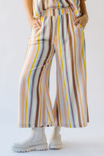 The Larry Striped Pant in Multi