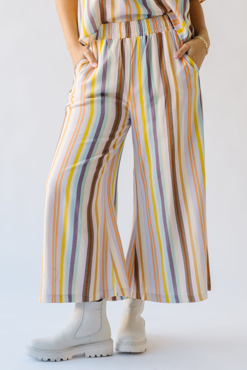 The Larry Striped Pant in Multi