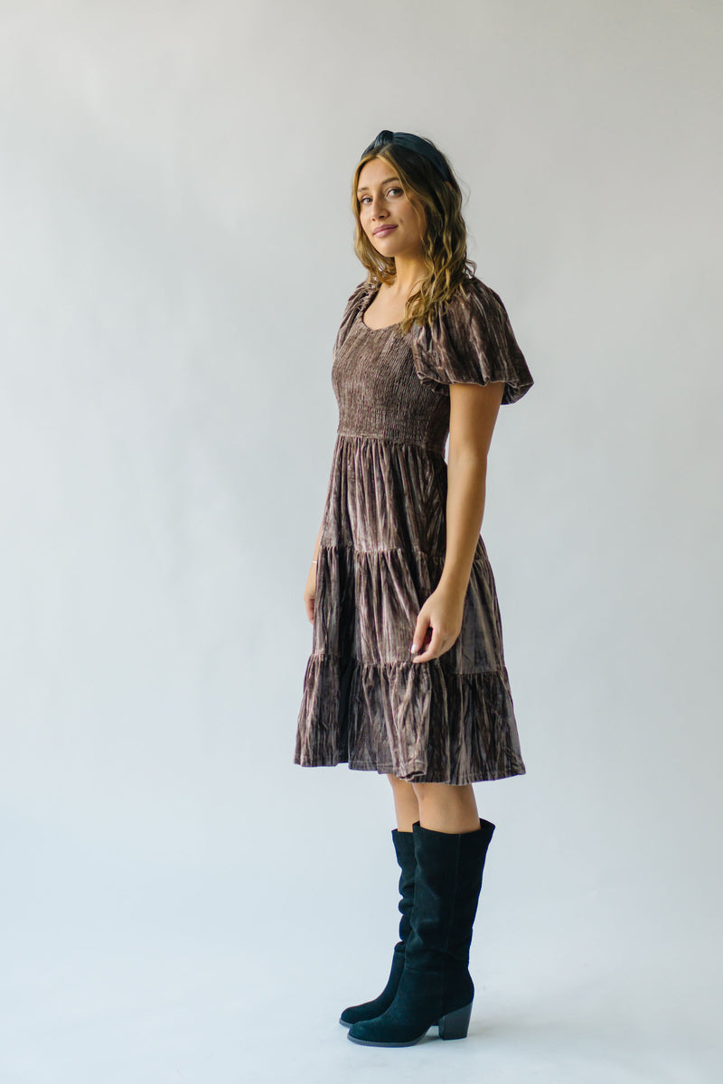 The Wickline Smocked Detail Dress in Taupe Velvet