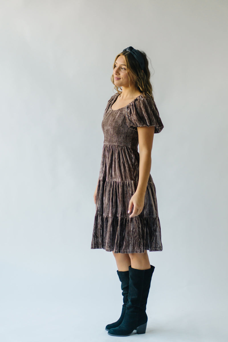 The Wickline Smocked Detail Dress in Taupe Velvet