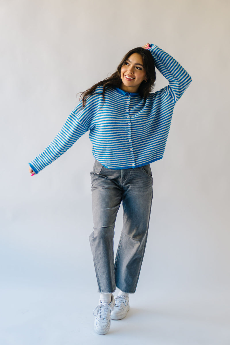 The Riggs Button-Down Sweater in Ivory + Blue Mini Stripe