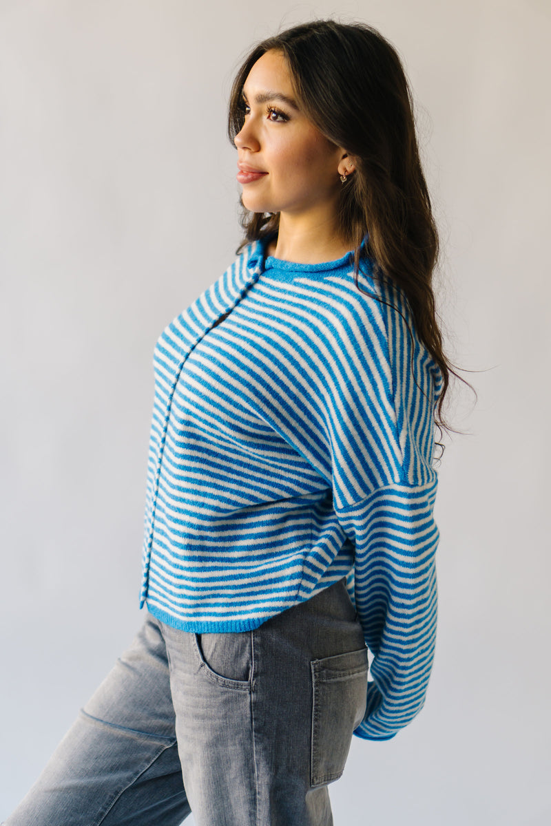 The Riggs Button-Down Sweater in Ivory + Blue Mini Stripe