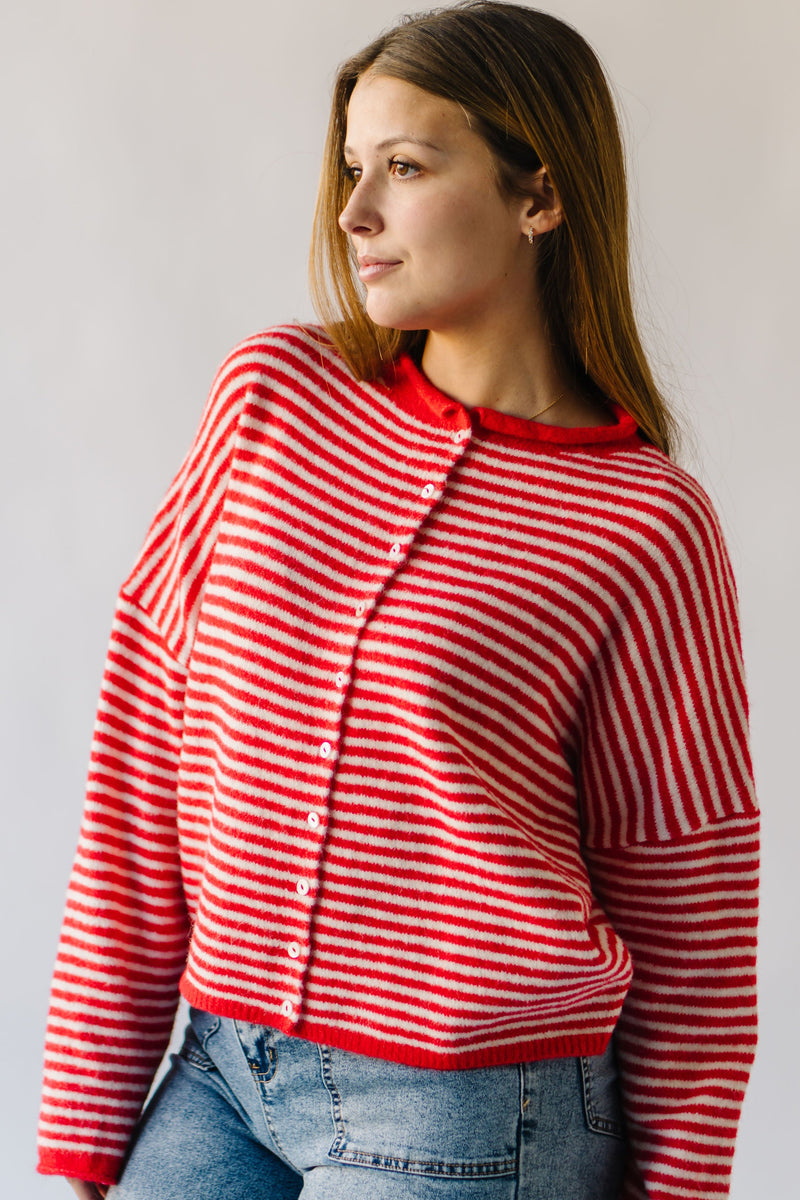 The Riggs Button-Down Sweater in Ivory + Red Mini Stripe