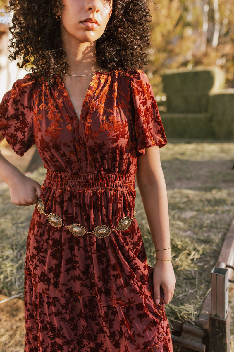 The Hillsdale Velvet Detail Midi Dress in Rust