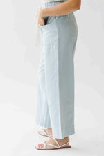 The Edison Drawstring Pant in Light Blue Stripe