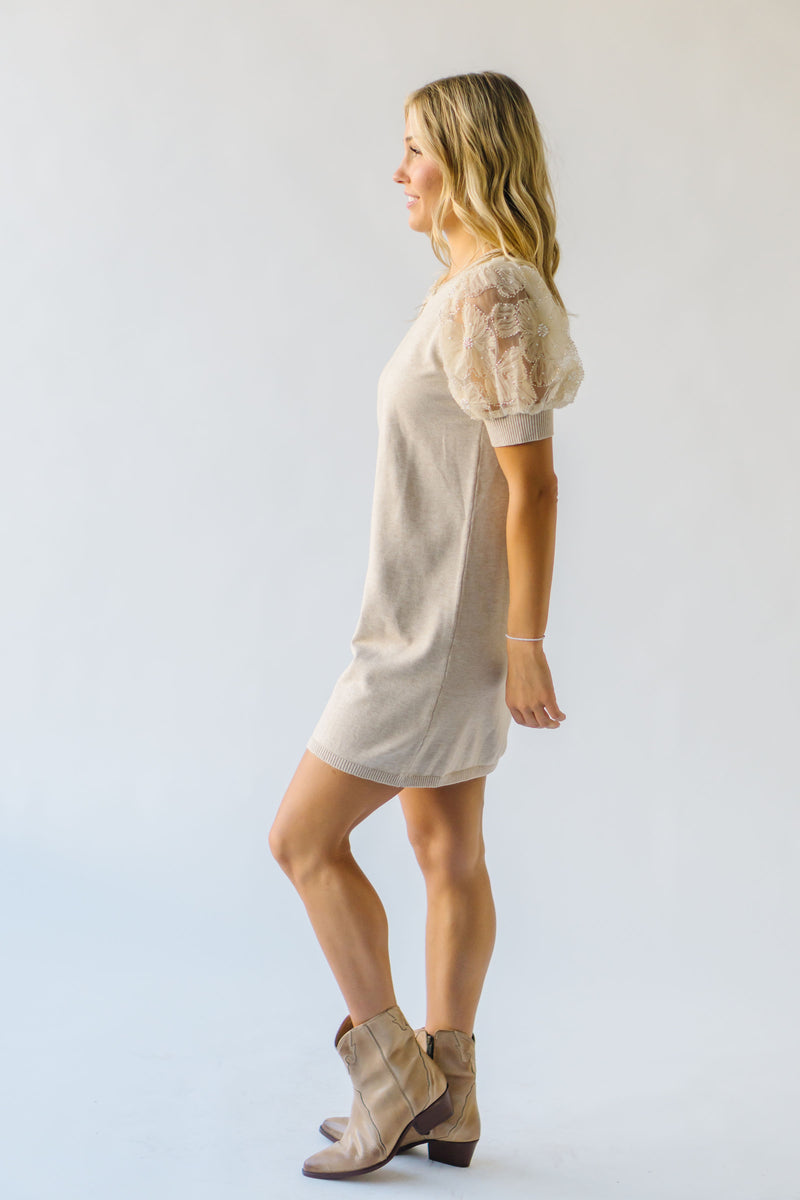 The Hinkle Mesh Detail Sweater Dress in Natural