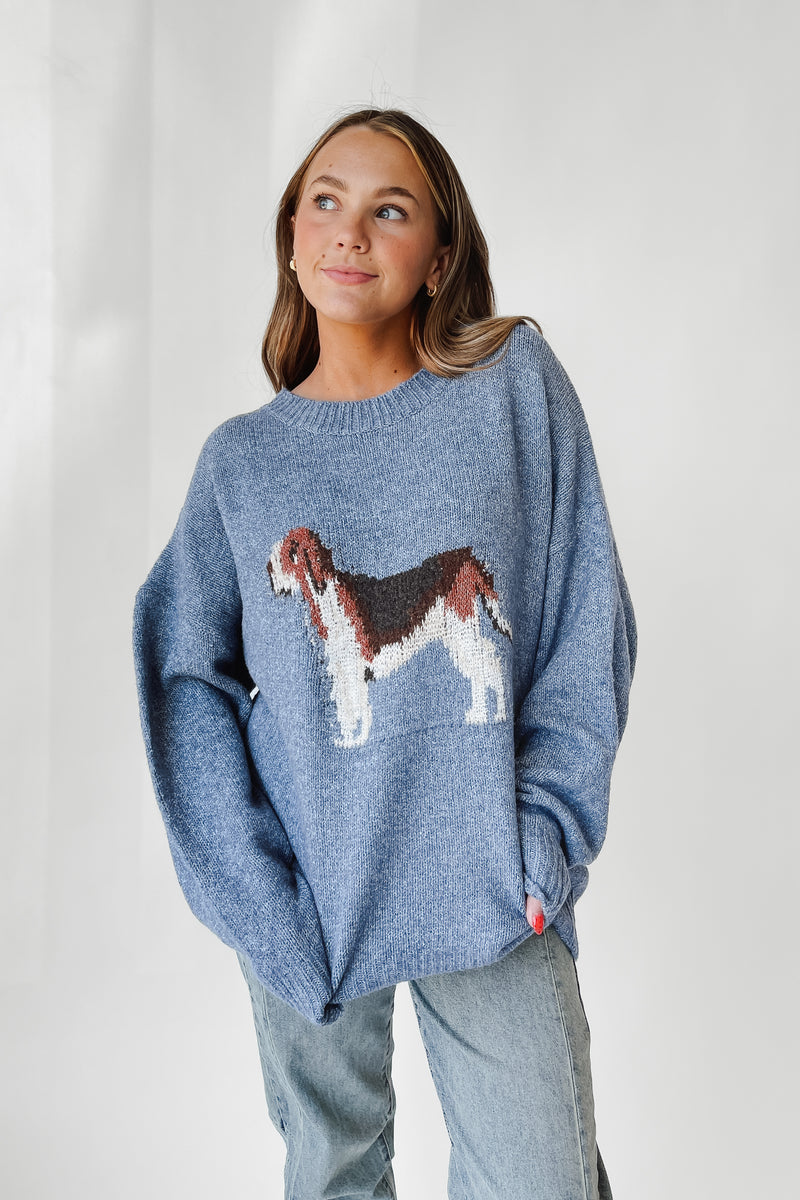 The Hound Dog Sweater in Antique Blue