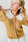 The Wren Lace Collared Sweater in Dijon