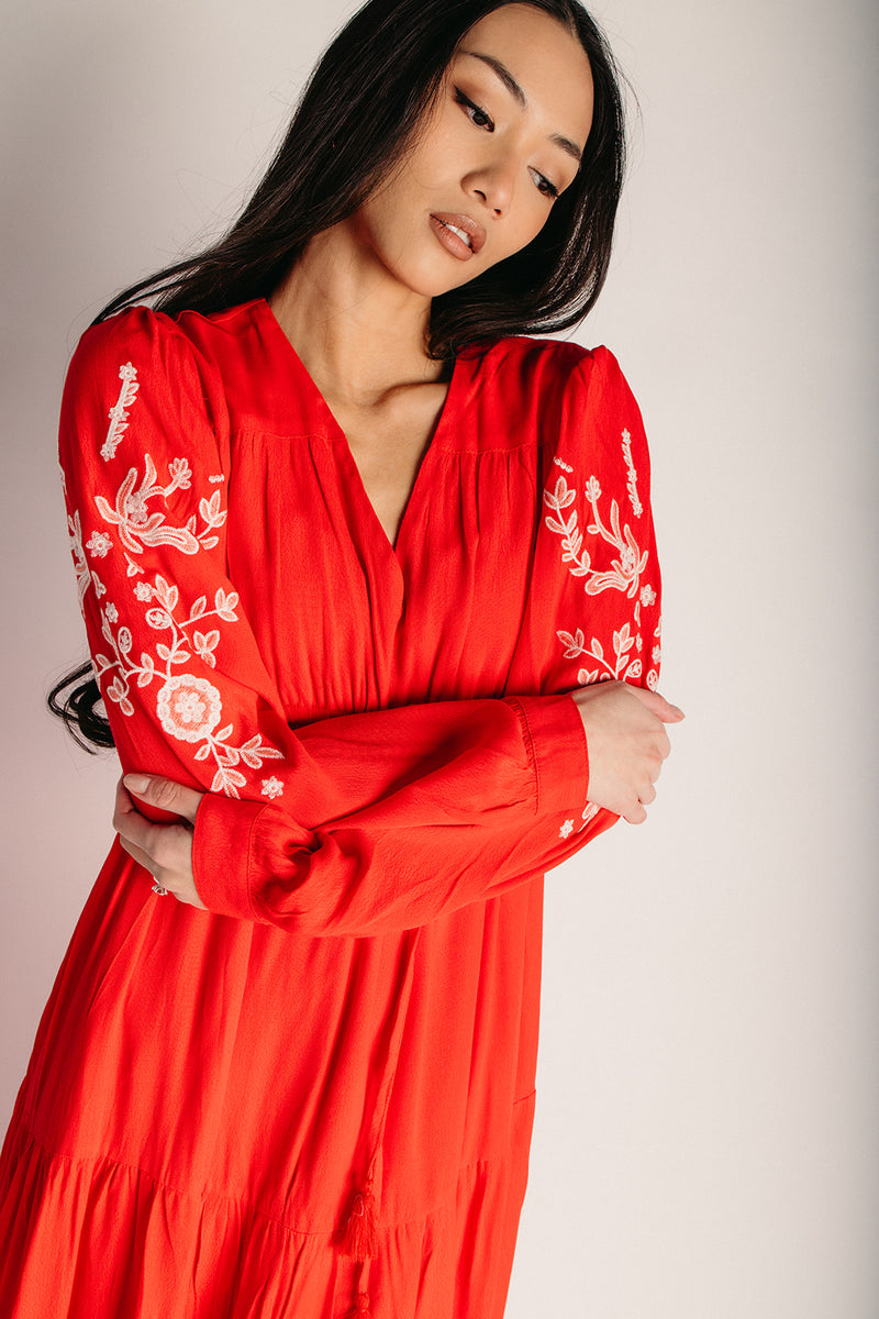 sachin and babi light blue dress Temperley London Remi floral-embroidered Maxi Dress | Red main image 1