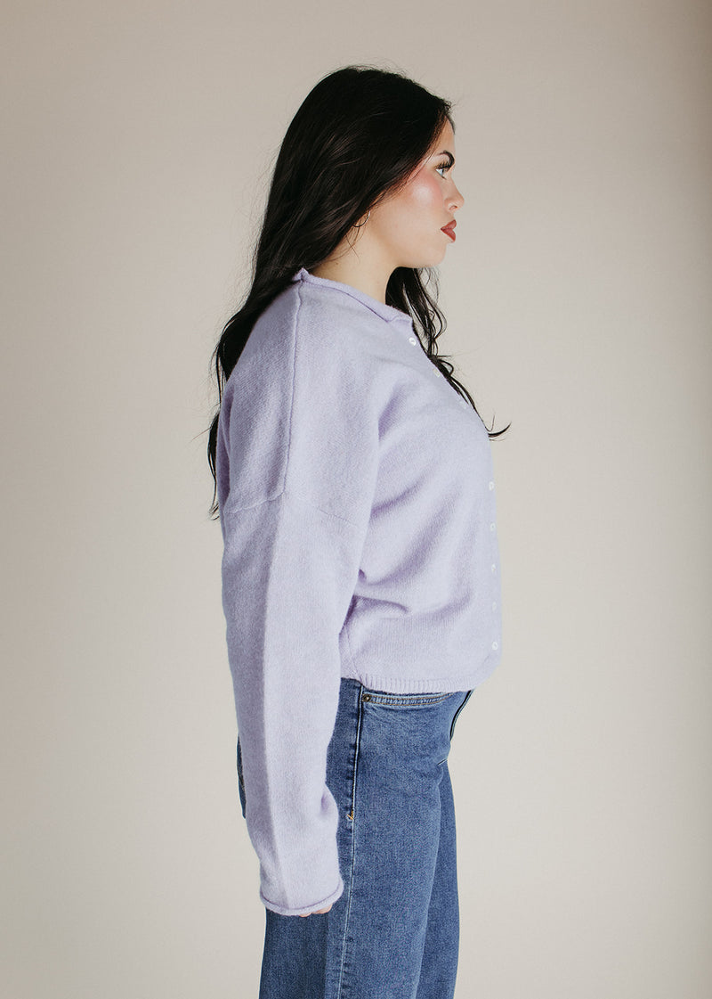 The Riggs Button-Down Sweater in Lavender