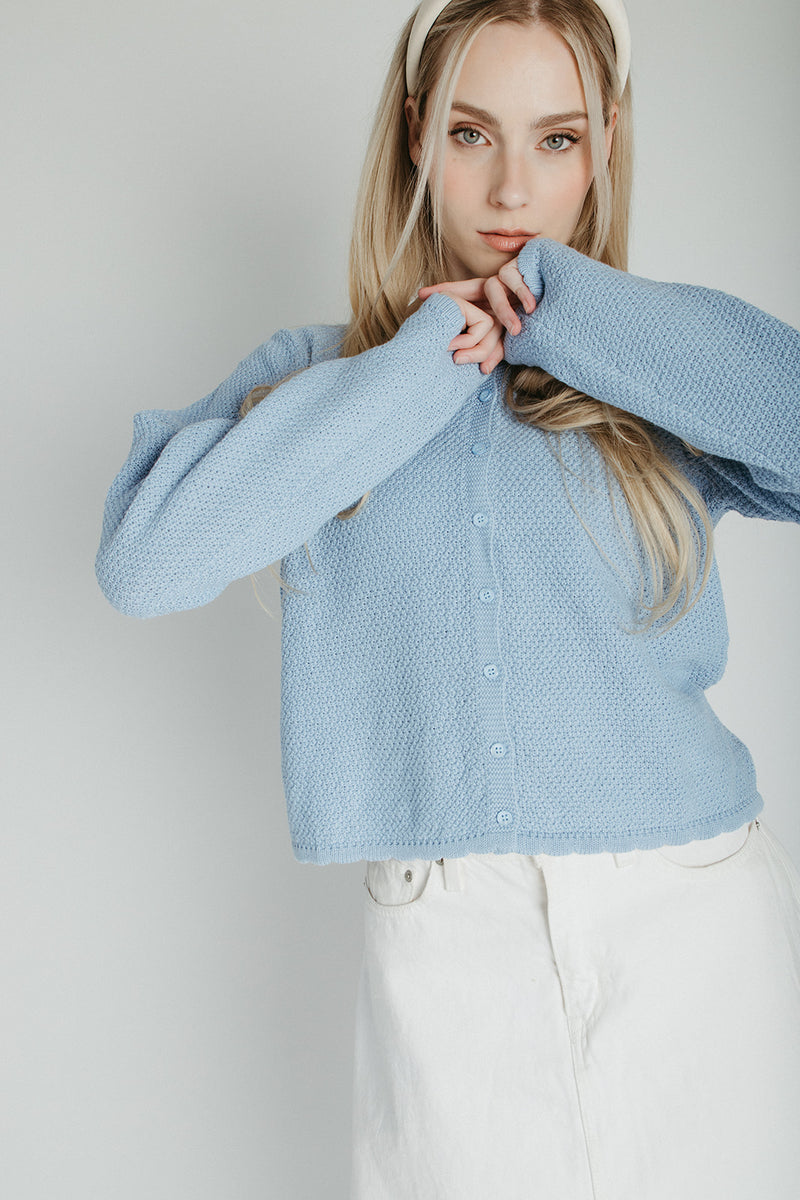The Jori Knit Button-Up Cardigan in Powder Blue