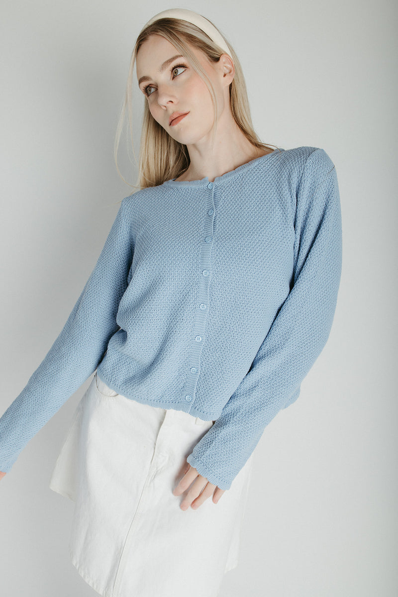 The Jori Knit Button-Up Cardigan in Powder Blue