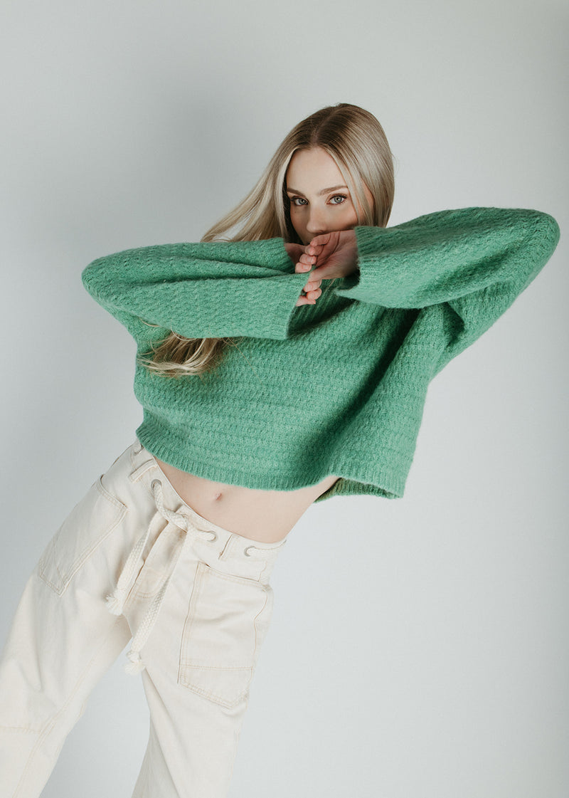 The Amberlee Knit Sweater in Green