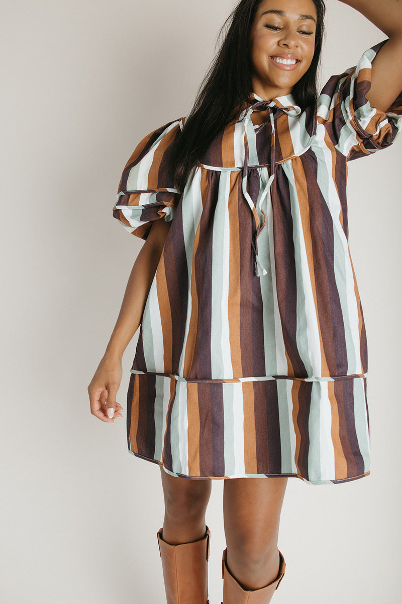 The Farwell Puff Sleeve Dress in Brown Stripe
