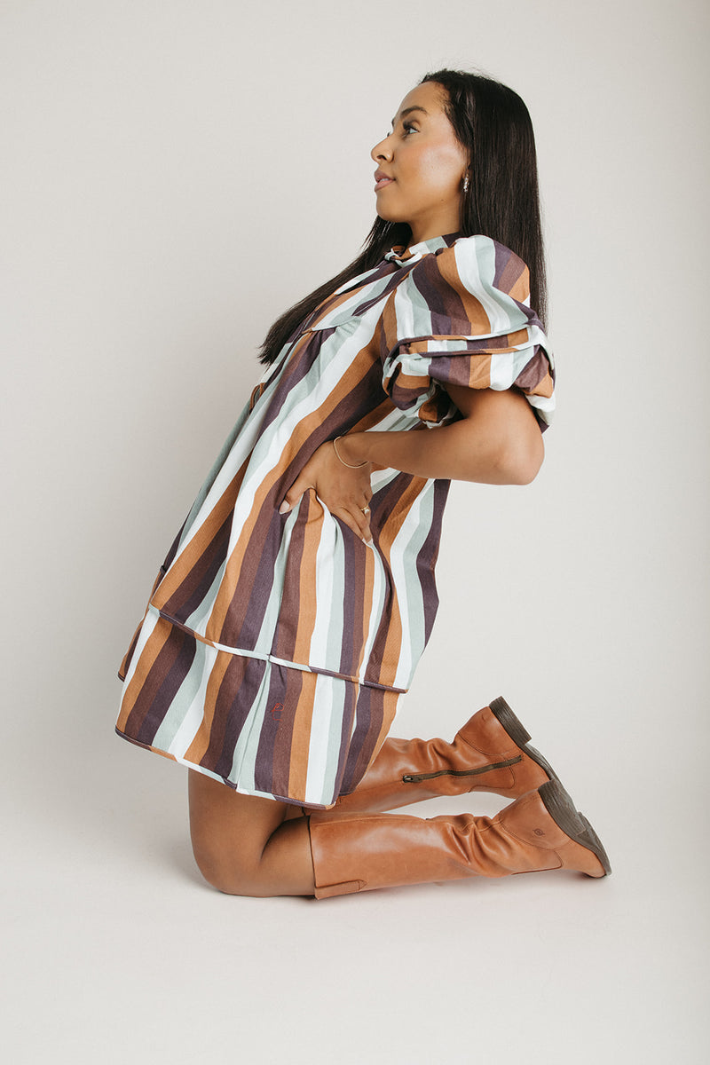 The Farwell Puff Sleeve Dress in Brown Stripe