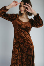 The Wilkey Velvet Embossed Maxi Dress in Mocha