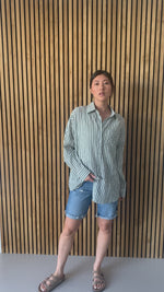 The Avilla Button-Down Shirt in Olive Stripe