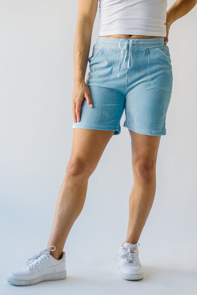 The Morell High Waisted Shorts in Blue Velvet
