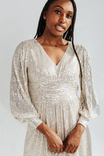 The Sheffield Sequin Maxi Dress in Silver
